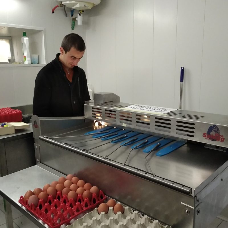 9dbdd7f8-82ea-4ed5-83d9-f1ce55f1a276