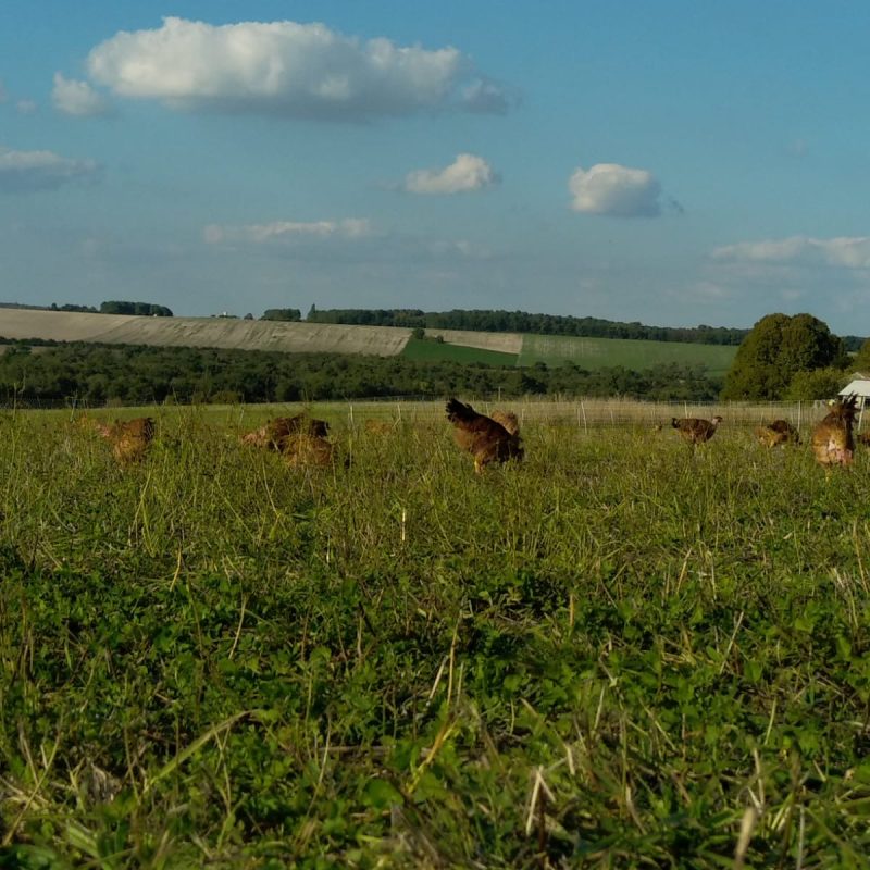 9e67da76-a8db-40c5-8104-01df16f6c1f7