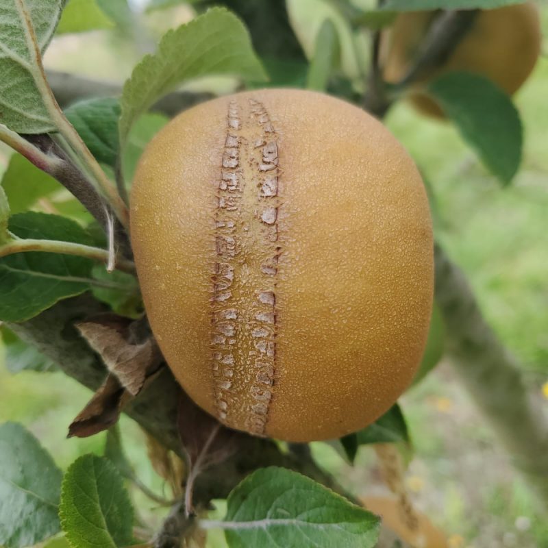 PHOTO-2025-09-20-14-14-56_1