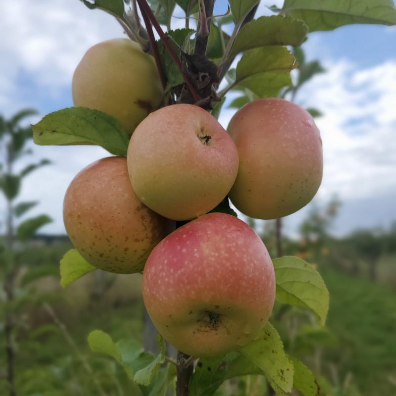 PHOTO-2025-09-20-14-16-46_1