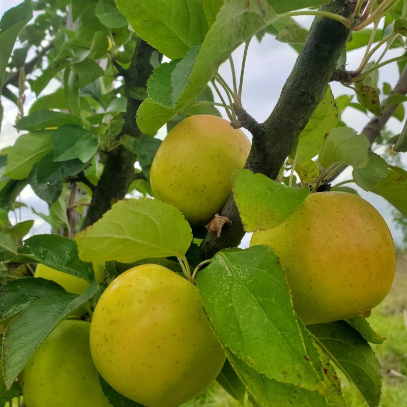 PHOTO-2025-09-20-14-17-22