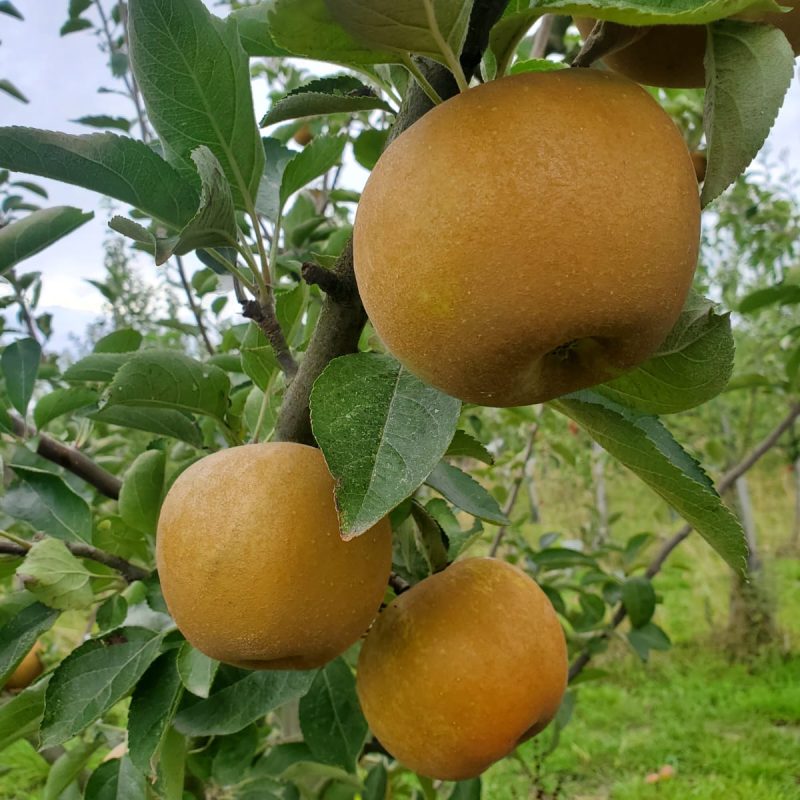 PHOTO-2025-09-20-14-18-24