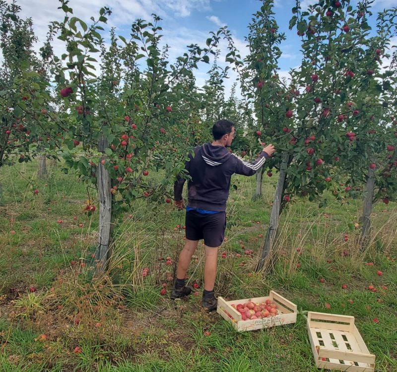 PHOTO-2025-09-20-14-18-48