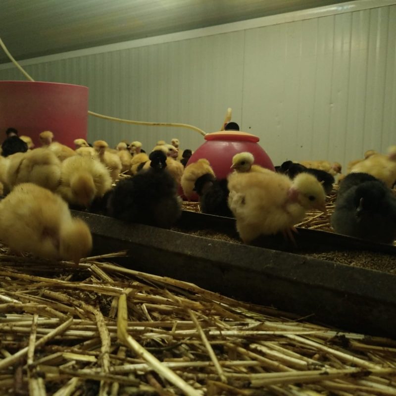 c06b58e2-e8f6-4b22-b540-f4607dfddfbb