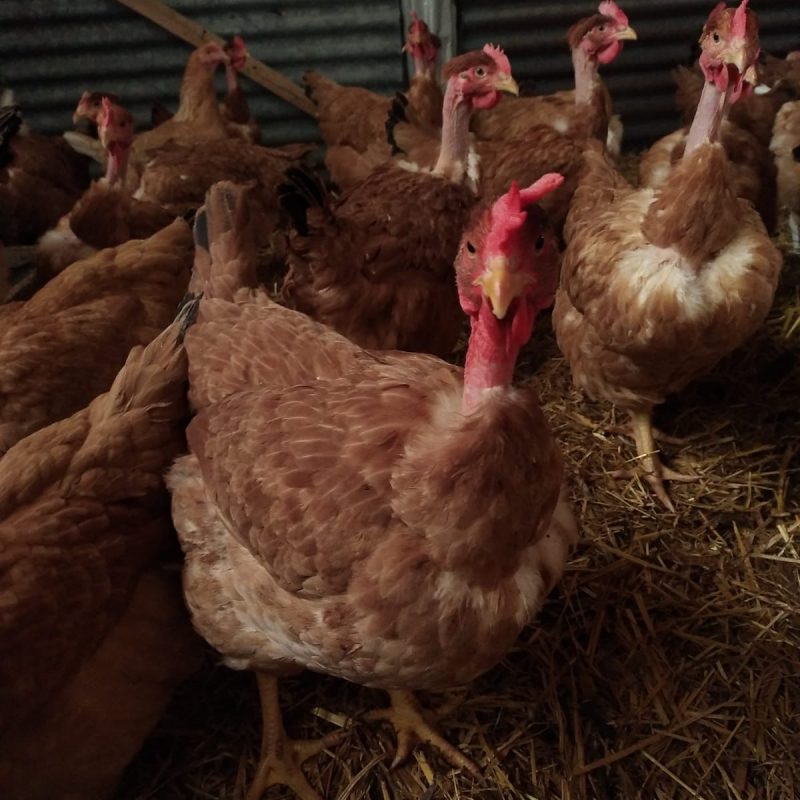 d19fcd94-edd4-4fb8-b3ca-58629c482a44